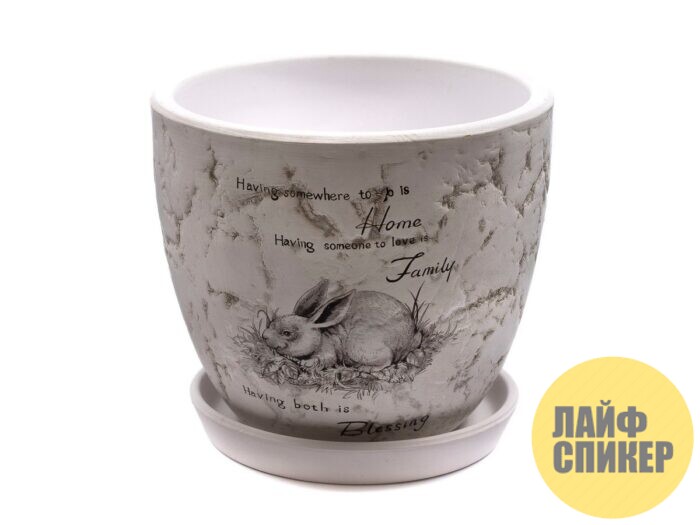 Три главных совета по уходу за живыми растениями