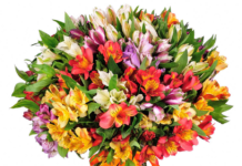 Как выбрать букет