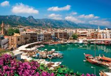 Выписки из торгового реестра Кипра