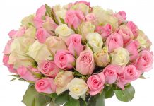 Что подарить девушке? Идеи подарков на день рождения