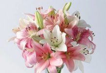 Монобукет: причины популярности