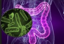 Что необходимо знать о микрофлоре