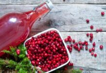 Рецепт настоек из брусники