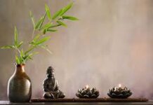 Обучение фэн-шуй: раскройте секреты гармонии и баланса