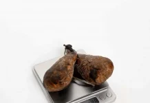 Бобровая струя: какие особенности