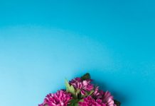 Букет из гвоздик: какие особенности