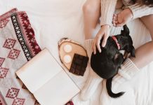 Эзотерические тайны домашних питомцев