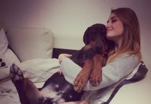 Порно с домашними животными — моральные и юридические аспекты