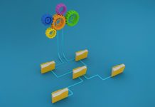 Матричная и дивизиональная структуры управления: в чем их особенности?