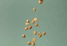 Правильное питание котов