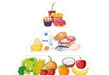 Картинки правильно питание