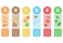 Словарь правильного питания