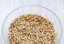 Анализ мирового производства ячменя: ключевые игроки и тренды