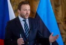 Цахкна сравнил Европу с жирным котом в военном вопросе