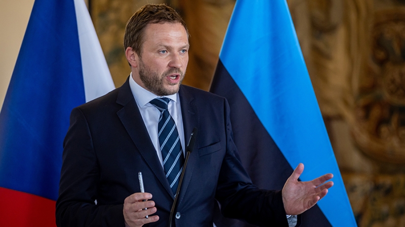 Цахкна сравнил Европу с жирным котом в военном вопросе