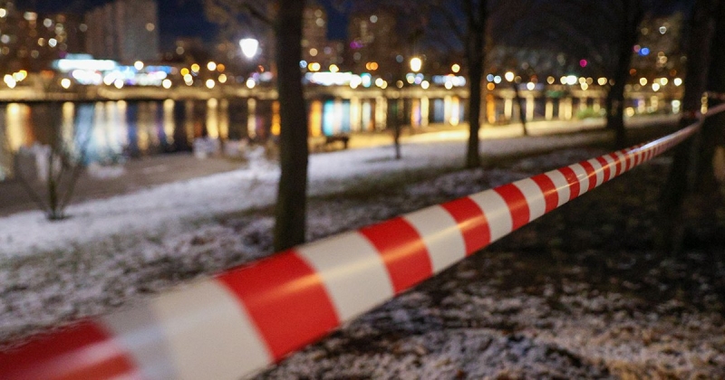 Мать призналась в убийстве и расчленении 6-летнего сына: что известно о ЧП в подмосковной Балашихе