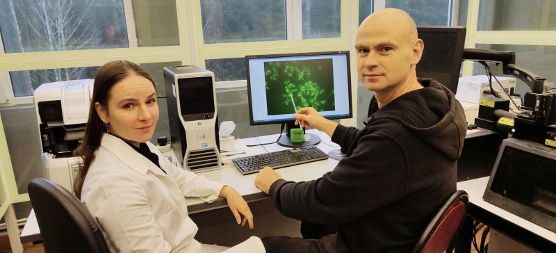 Установлено, что некоторые противодиабетические препараты снижают риск развития деменции