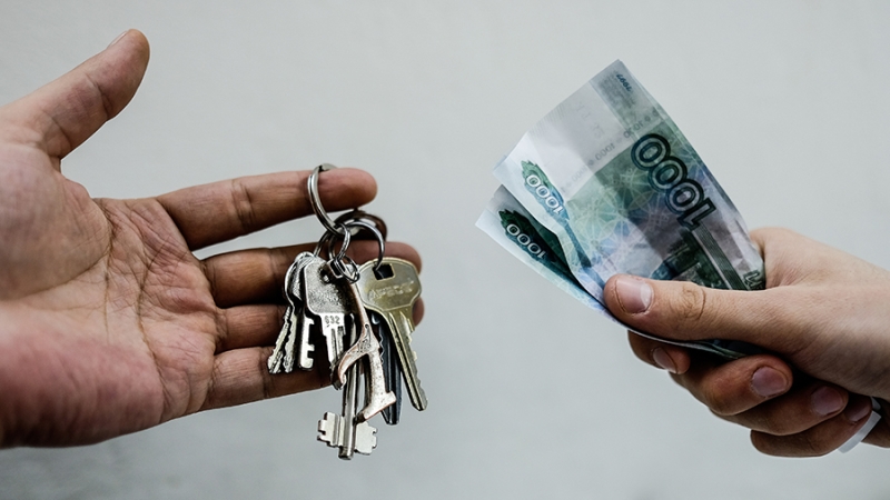 В Госдуме назвали возможный способ защиты от мошенничества при продаже жилья