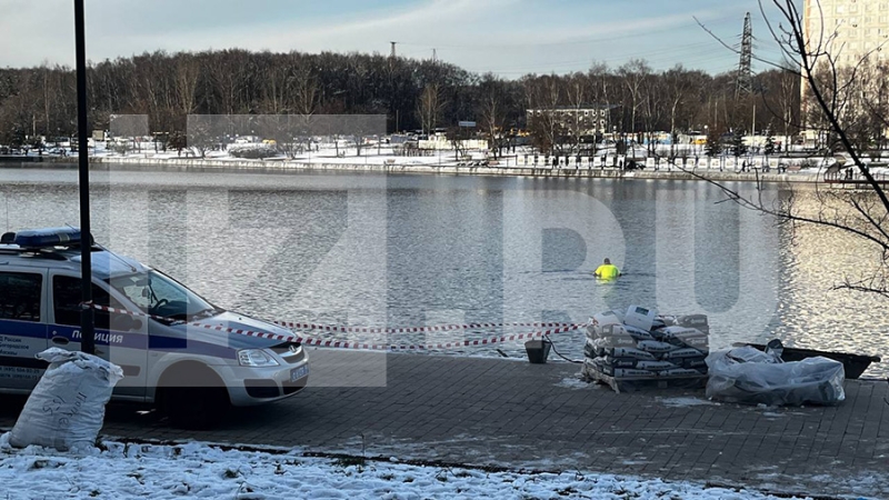 В Москве в Гольяновском пруду нашли останки ребенка